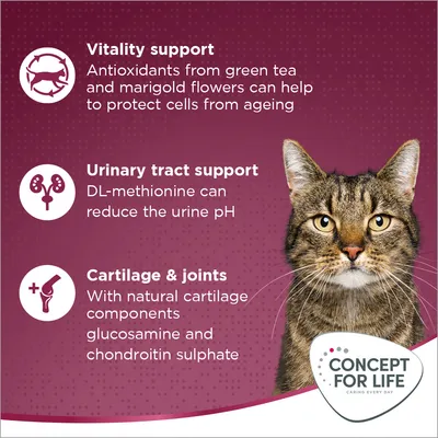 Concept for Life All Cats 10+  - с подобрена рецепта!