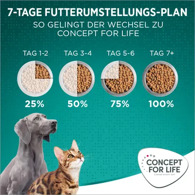 7-Tage Futterumstellungs-Plan: Tag 1-2 25%, Tag 3-4 50%, Tag 5-6 75%, Tag 7+ 100%. So gelingt der Wechsel zu Concept for Life.
