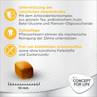 Unterstützung der Abwehrkräfte, Zahnpflege durch Pflanzenfasern, frei von künstlichen Aromastoffen. Konzept: Concept for Life. Grösse des Produkts: 10 mm.
