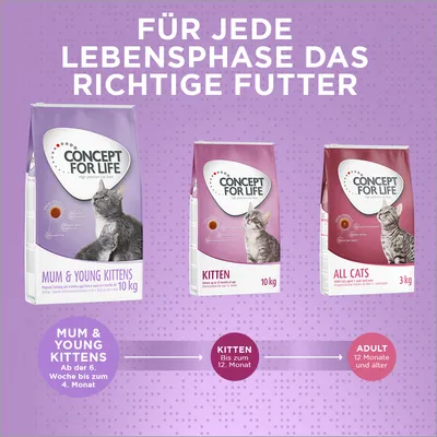 Concept for Life Katzenfutter für jede Lebensphase: Mum & Young Kittens ab der 6. Woche bis 4. Monat, Kitten bis 12. Monat, All Cats ab 12 Monate. Verpackungen in 10 kg und 3 kg.