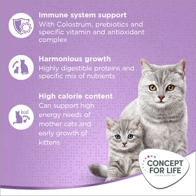 Immune system support, harmonious growth, and high calorie content for cats. Features colostrum, prebiotics, digestible proteins, nutrients, and energy for mother cats and kittens.