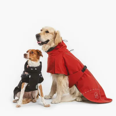 Twee honden dragen weerbestendige hondenjassen: een rode jas met reflecterende strepen en een zwarte jas met zachte voering. Geschikt voor koude of regenachtige dagen.