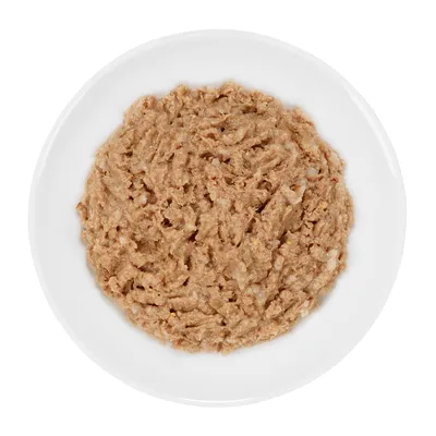 Vådfoder til kæledyr serveret på hvid tallerken, brun og cremet konsistens uden synlige mærker eller tekst.