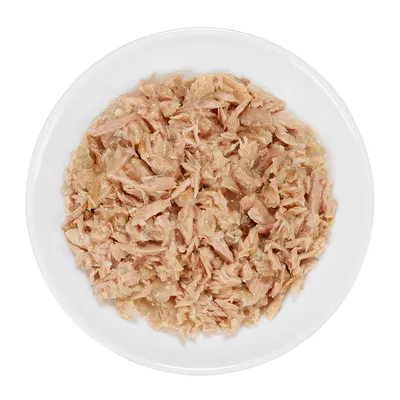 Shredded meat in gravy served on a white plate, showing the texture and consistency of the wet food product.