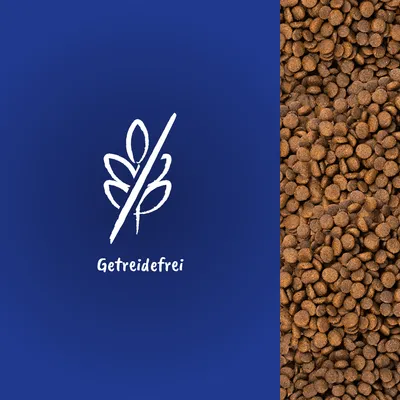 Getreidefrei. Symbol eines durchgestrichenen Getreidehalms neben einer Nahaufnahme von braunen Kroketten.