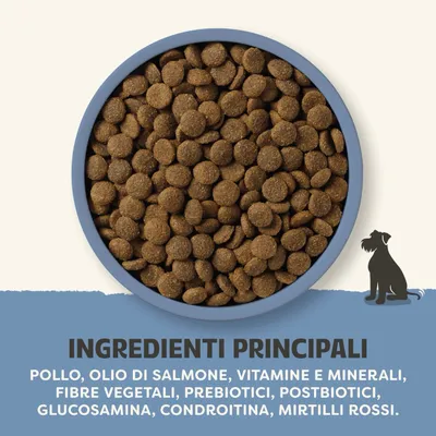 Ingredienti principali: pollo, olio di salmone, vitamine e minerali, fibre vegetali, prebiotici, postbiotici, glucosammina, condroitina, mirtillo rosso. Ingredienti principali: pollo, olio di salmone, vitamine e minerali, fibre vegetali, prebiotici, postbiotici, glucosammina, condroitina, mirtillo rosso.