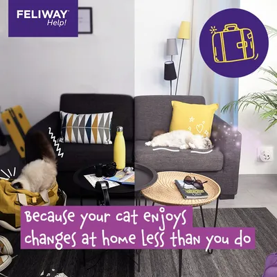 Feliway Help! image showing a cat unsettled on one side and relaxed on the other, with text: 'Because your cat enjoys changes at home less than you do.'