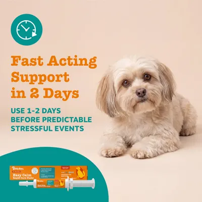 Gyors segítség 2 napon belül. Alkalmazása előre látható stresszes események előtt 1-2 nappal ajánlott. Zesty Paws Easy Calm Rapid Care Paste látható. Gyors segítség 2 napon belül. Alkalmazása előre látható stresszes események előtt 1-2 nappal ajánlott. Zesty Paws Easy Calm Rapid Care Paste látható.