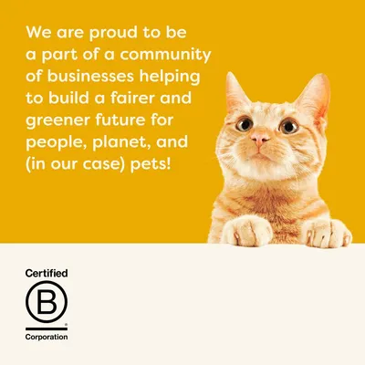 Tekst w języku angielskim: We are proud to be a part of a community of businesses helping to build a fairer and greener future for people, planet, and (in our case) pets! Certified B Corporation.