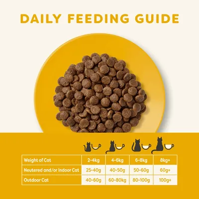 Guía diaria de alimentación para gatos: esterilizados/interior 2–4 kg: 25–40 g, 4–6 kg: 40–50 g, 6–8 kg: 50–60 g, 8 kg+: 60 g+. Exterior 2–4 kg: 40–60 g, 4–6 kg: 60–80 g, 6–8 kg: 80–100 g, 8 kg+: 100 g+.