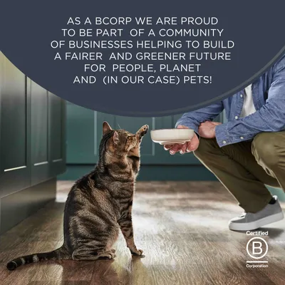 Certified B Corporation. A company committed to a fairer and greener future for people, the planet, and pets. Certified B Corporation. A company committed to a fairer and greener future for people, the planet, and pets.
