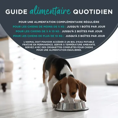 Encore 12 x 156 g boîtes pour chien Encore 12 x 156 g boîtes pour chien