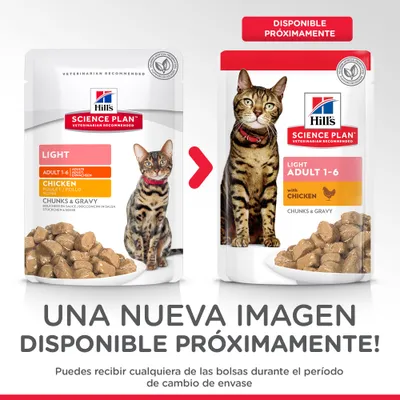 Hill's Science Plan Light Adult 1-6 con pollo, bocados en salsa para gatos. Imagen de dos envases diferentes y texto: 'Disponible próximamente'. Puedes recibir cualquiera durante el cambio.