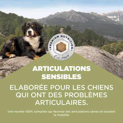 Eukanuba Special Care Sensitive Joints Adult Eukanuba Special Care Sensitive Joints Adult