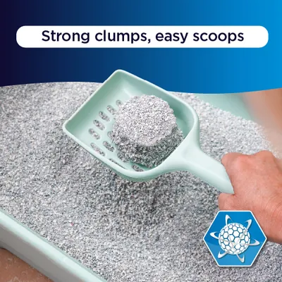Ever Clean® Lavender Clumping Cat Litter