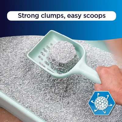 Ever Clean® Multiple Cat Clumping Cat Litter