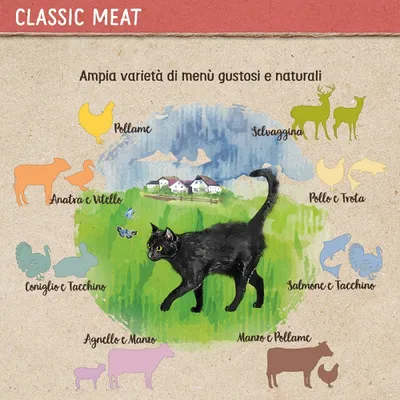 Ampia varietà di menù gustosi e naturali per gatti: pollame, selvaggina, anatra e vitello, pollo e trota, coniglio e tacchino, salmone e tacchino, agnello e manzo, manzo e pollame.