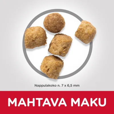 Viisi nappulaa, teksti: Nappulakoko n. 7 x 6,5 mm. Alareunassa iso teksti: MAHTAVA MAKU.