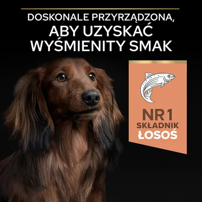 Doskonałe przyrządzona, aby uzyskać wyśmienity smak. NR 1 składnik łosoś.