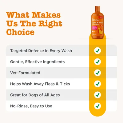 Zesty Paws Flea & Tick Shampoo - 250ml