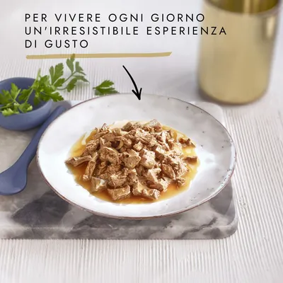 Piatto con bocconcini di carne in salsa. Testo visibile: 'Per vivere ogni giorno un’irresistibile esperienza di gusto'.