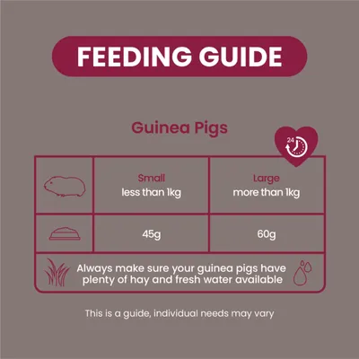 Burgess Excel Indoor Guinea Pig Nuggets - Economy Pack: 2 x 1.5kg Burgess Excel Indoor Guinea Pig Nuggets - Economy Pack: 2 x 1.5kg