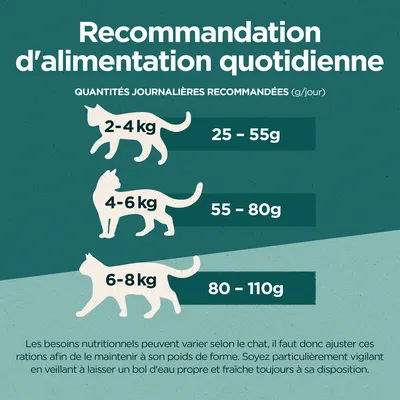 Conseils d’alimentation pour chats : 2–4 kg 25–55 g/jour, 4–6 kg 55–80 g/jour, 6–8 kg 80–110 g/jour. Ajuster selon le chat et laisser de l’eau propre à disposition.