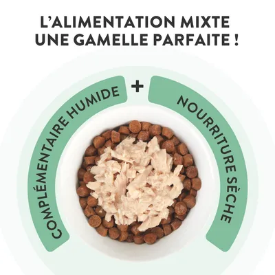 Schesir Compléments en gelée 6 x 70 g