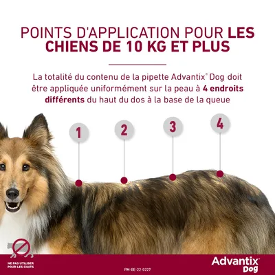 Advantix® grand chien, de 25 kg à 40 kg