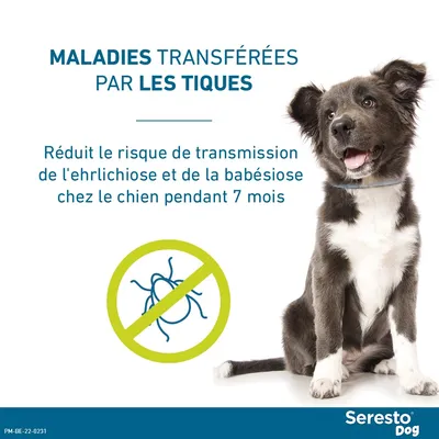 Collier antiparasitaire Seresto® pour petit chien (≤ 8 kg)