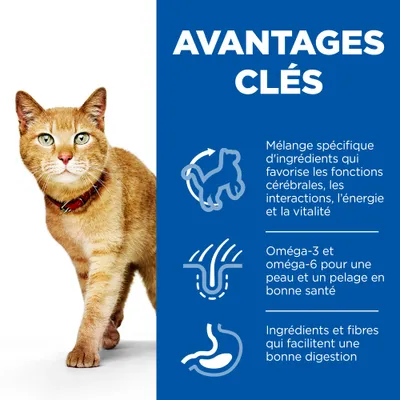 AVANTAGES CLÉS : mélange d’ingrédients pour fonctions cérébrales, oméga-3 et 6 pour peau et pelage, ingrédients et fibres pour digestion. Chat roux à collier visible à gauche.