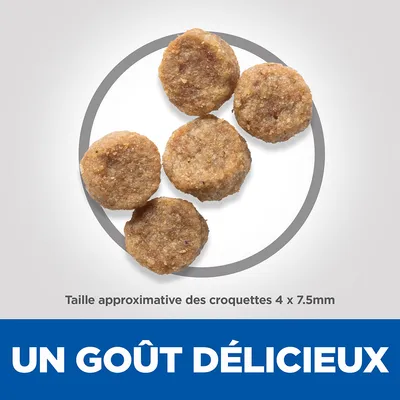 Taille approximative des croquettes 4 x 7,5 mm. Texte visible : UN GOÛT DÉLICIEUX.