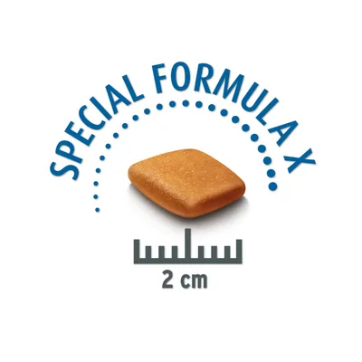 Croquette carrée, texte visible : SPECIAL FORMULA X, règle indiquant 2 cm sous la croquette.