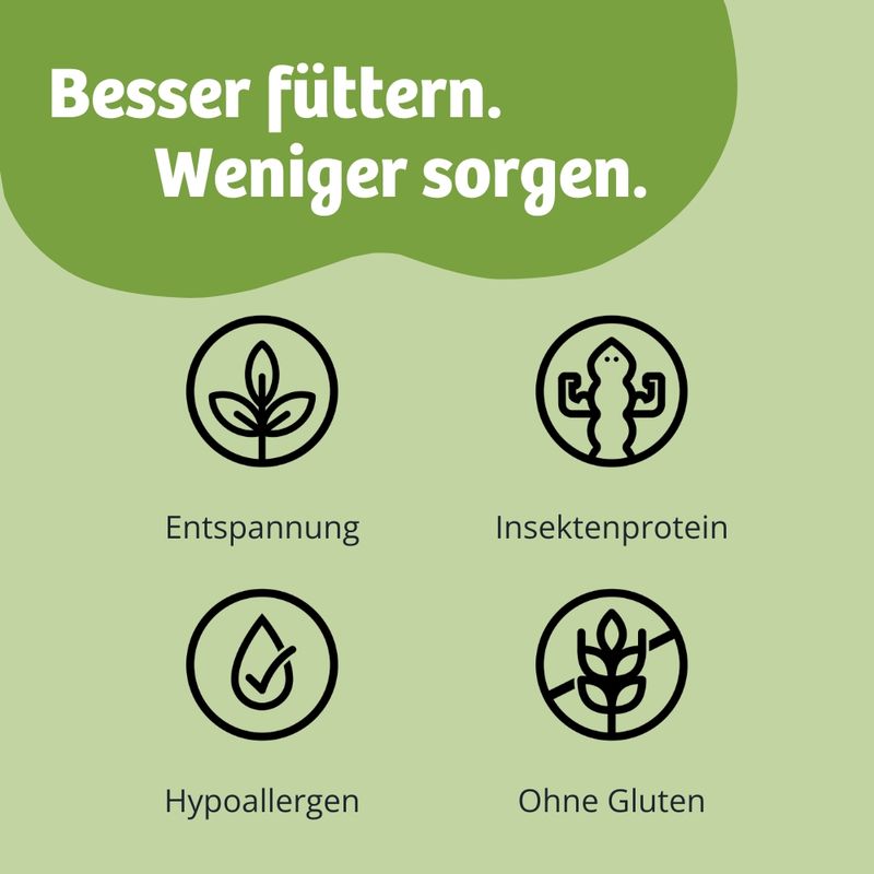 BugBell BugTerrine Adult Insekten, Spinat & Hanf