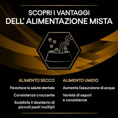 Scopri i vantaggi dell’alimentazione mista. Alimento secco: favorisce la salute dentale, consistenza croccante, soddisfa il desiderio di piccoli pasti multipli. Alimento umido: aumenta l’assunzione di acqua, varietà di sapori e consistenze.