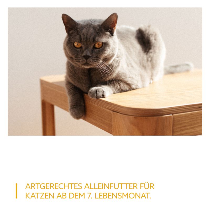 Probierpaket GimCat Near Nature 6 x 85 g