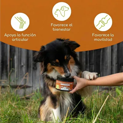 Wolfsbacher Natur Articulaciones y huesos Wolfsbacher Natur Articulaciones y huesos