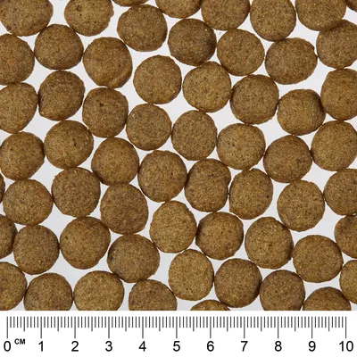 Detailný záber na hnedé, okrúhle kúsky suchého krmiva s mierkou v centimetroch dole na určenie veľkosti.