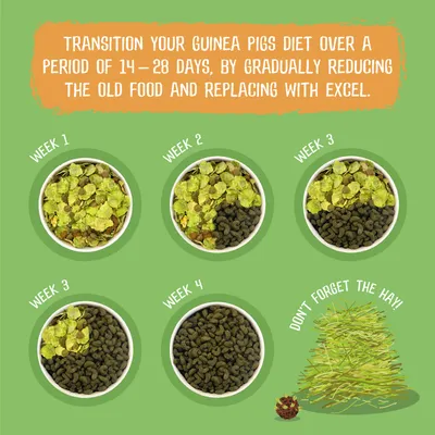 Feeding guide showing how to gradually switch guinea pig food over 14–28 days, with weekly bowl images reducing old food and increasing new food, plus reminder not to forget the hay.
