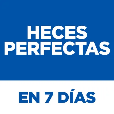 HECES PERFECTAS EN 7 DÍAS