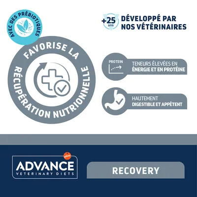 Advance Veterinary Diets Recovery avec prébiotiques, développé par des vétérinaires, haute énergie et protéine, hautement digestible et appétent. Advance Veterinary Diets Recovery avec prébiotiques, développé par des vétérinaires, haute énergie et protéine, hautement digestible et appétent.