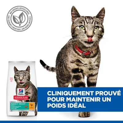Hill's Science Plan Perfect Weight Adulte nourriture pour chat au poulet. Cliniquement prouvé pour le maintien du poids idéal. Sans conservateurs, colorants ni arômes artificiels. Hill's Science Plan Perfect Weight Adulte nourriture pour chat au poulet. Cliniquement prouvé pour le maintien du poids idéal. Sans conservateurs, colorants ni arômes artificiels.