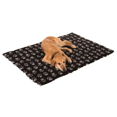 Hund liegt auf einer schwarzen Decke mit grauem Pfotenmuster.