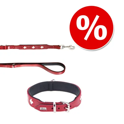 Hunter Sett: Halsbånd Swiss + Hundebånd Swiss