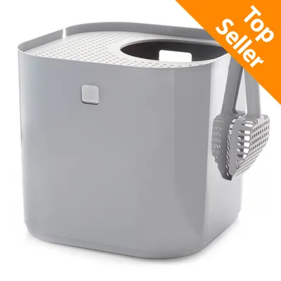 Toilette per gatti Modkat