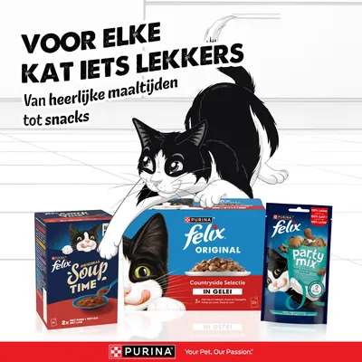 PURINA felix Original Soup Time, Original in Gelei en Party Mix. Voor elke kat iets lekkers. Van heerlijke maaltijden tot snacks. PURINA felix Original Soup Time, Original in Gelei en Party Mix. Voor elke kat iets lekkers. Van heerlijke maaltijden tot snacks.