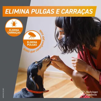 Texto: Elimina pulgas e carraças. Elimina carraças. Elimina pulgas antes que consigam pôr ovos. Marca Boehringer Ingelheim. Pessoa a dar guloseima a um cão de coleira vermelha.