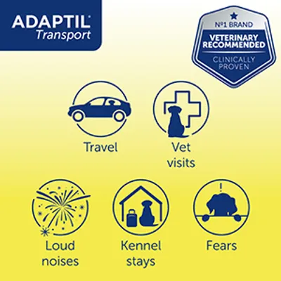 Adaptil Transport helps with travel, vet visits, loud noises, kennel stays and fears. Veterinary recommended and clinically proven.