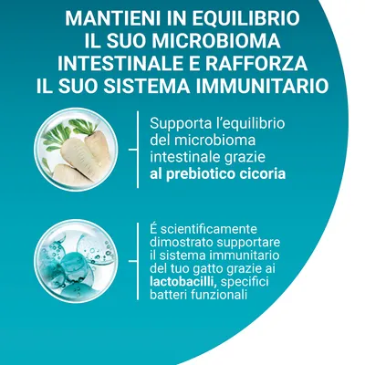 Mantieni in equilibrio il suo microbioma intestinale e rafforza il suo sistema immunitario. Prebiotico cicoria per l’equilibrio intestinale, lactobacilli per il sistema immunitario del gatto.