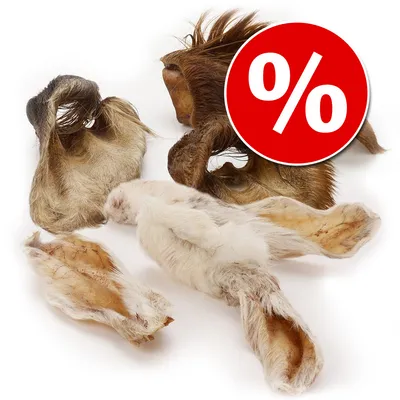 Lot Oreilles à mâcher Wolf of Wilderness pour chien